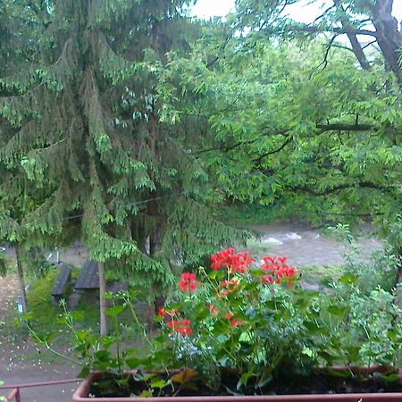 Pasager House Apartment Sovata Bagian luar foto