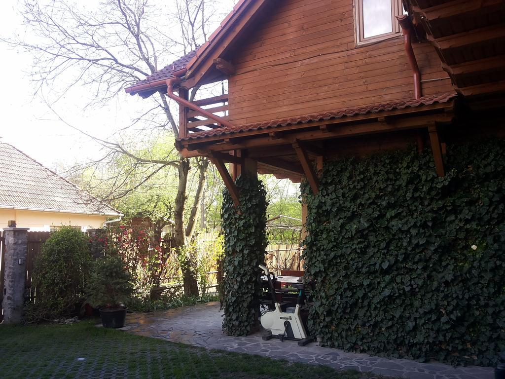 Pasager House Apartment Sovata Bagian luar foto